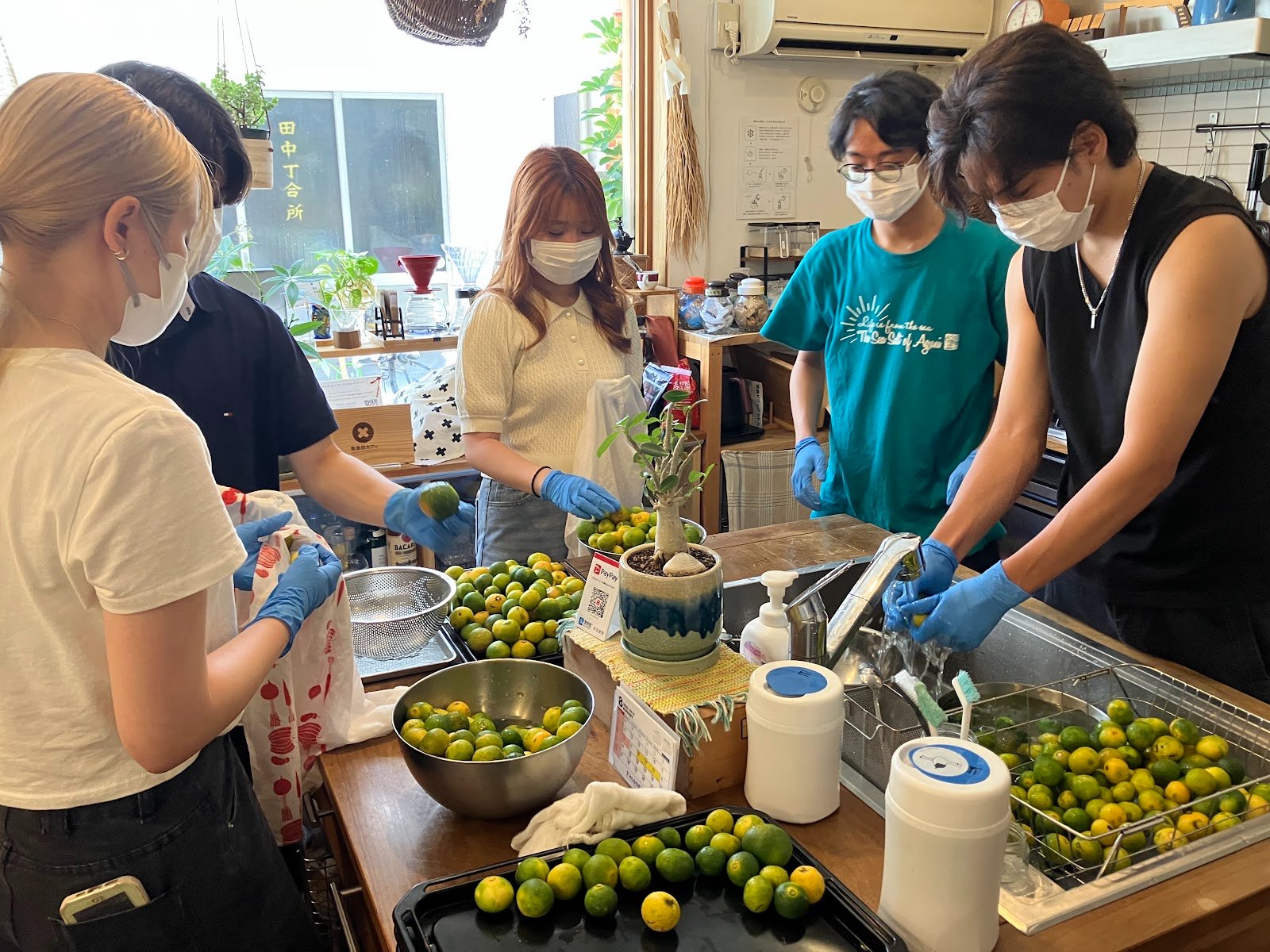 我楽田工房で地域の柑橘を仕込む学生たち